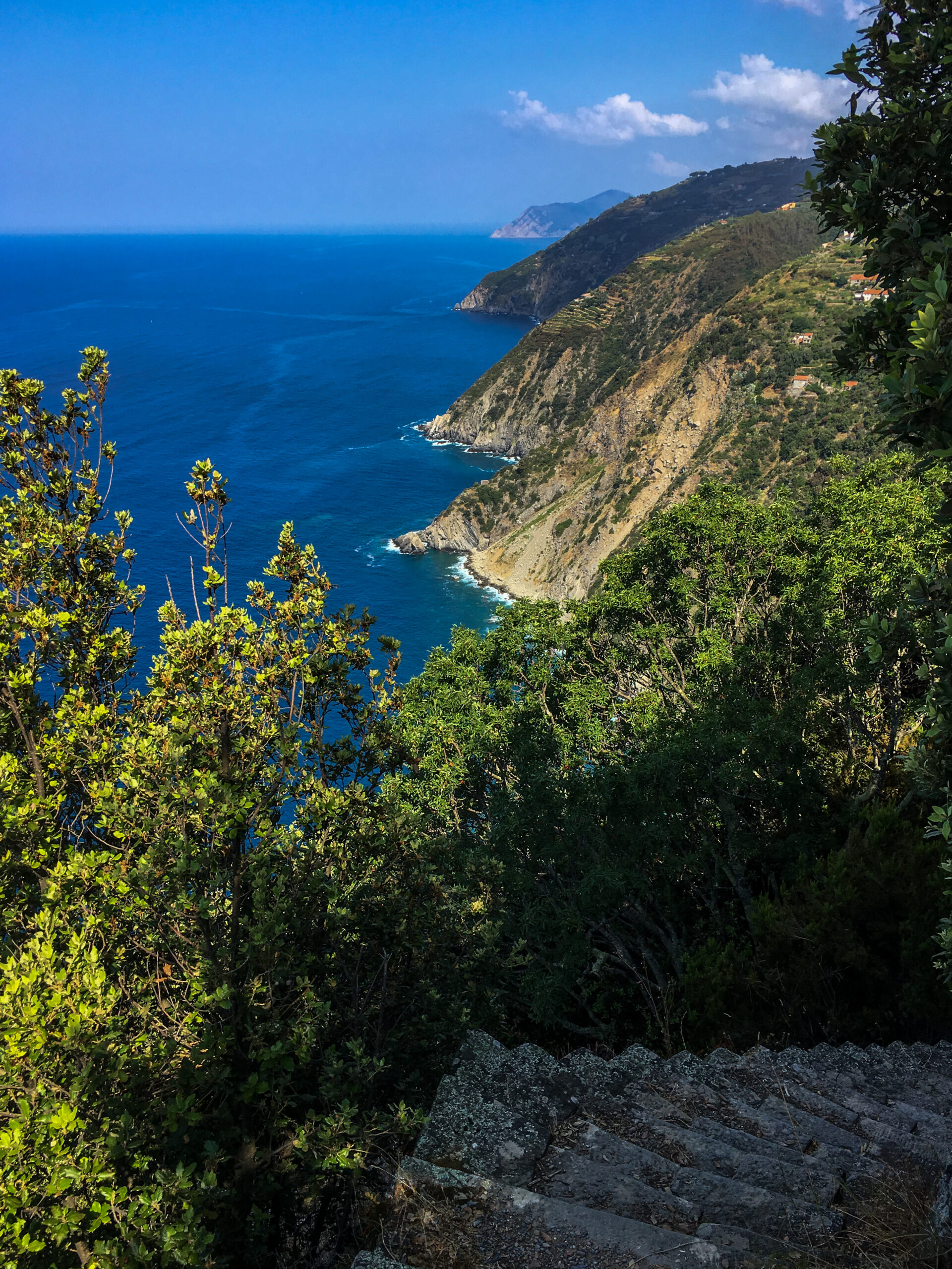 I promontori del parco delle 5 Terre