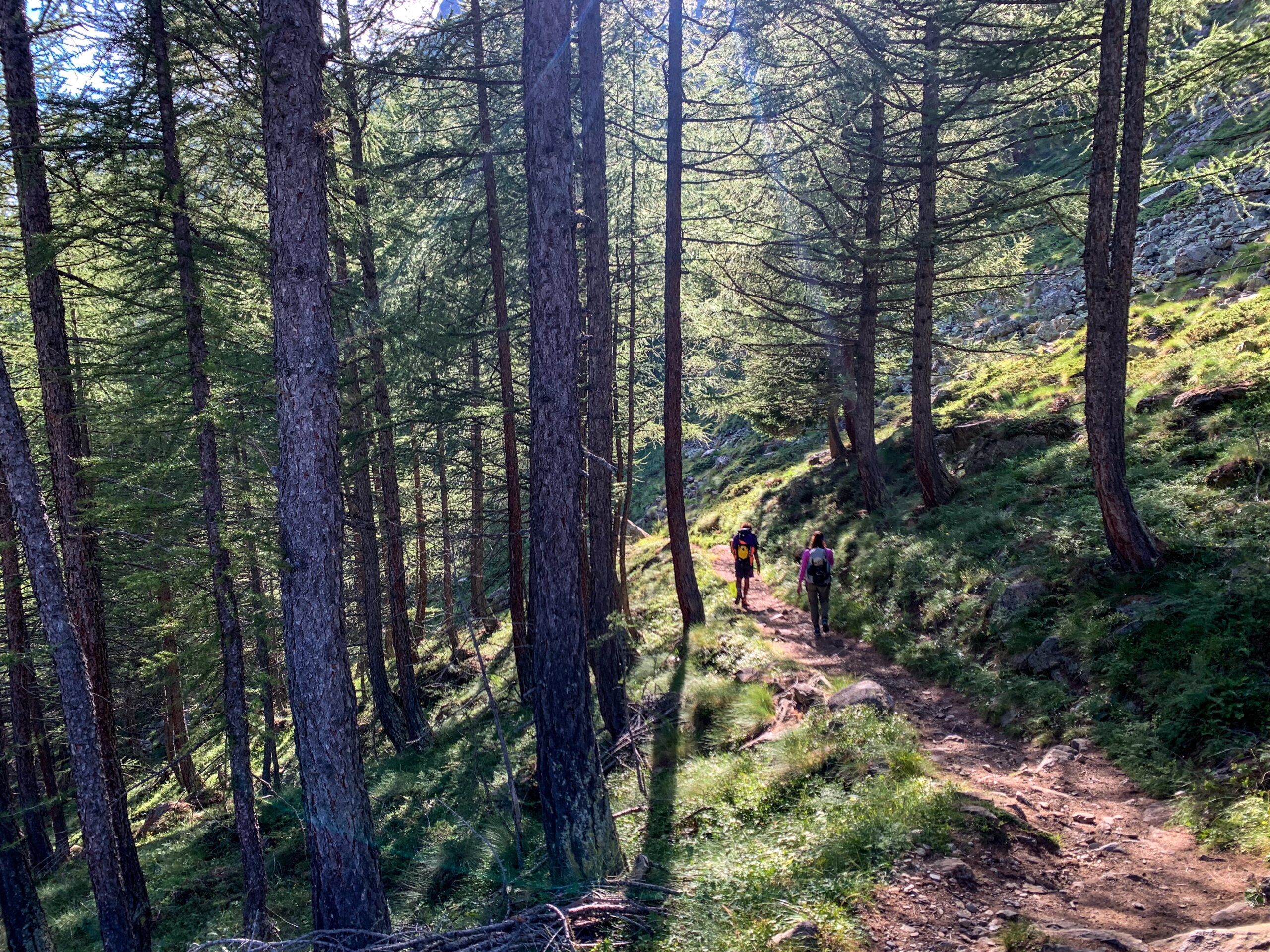 Il magnifico sentiero verso la diga di Place Moulin